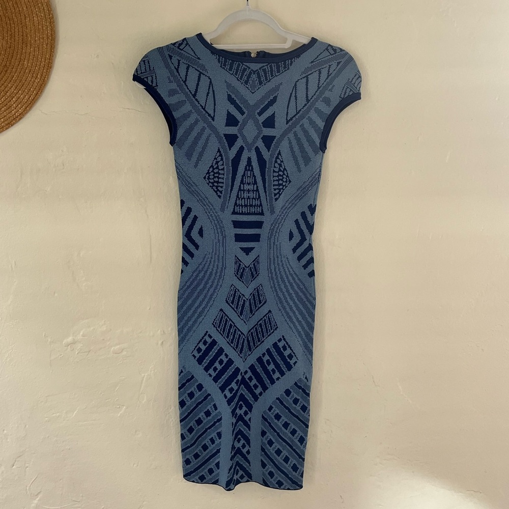 Torn by Ronny Kobo Dress